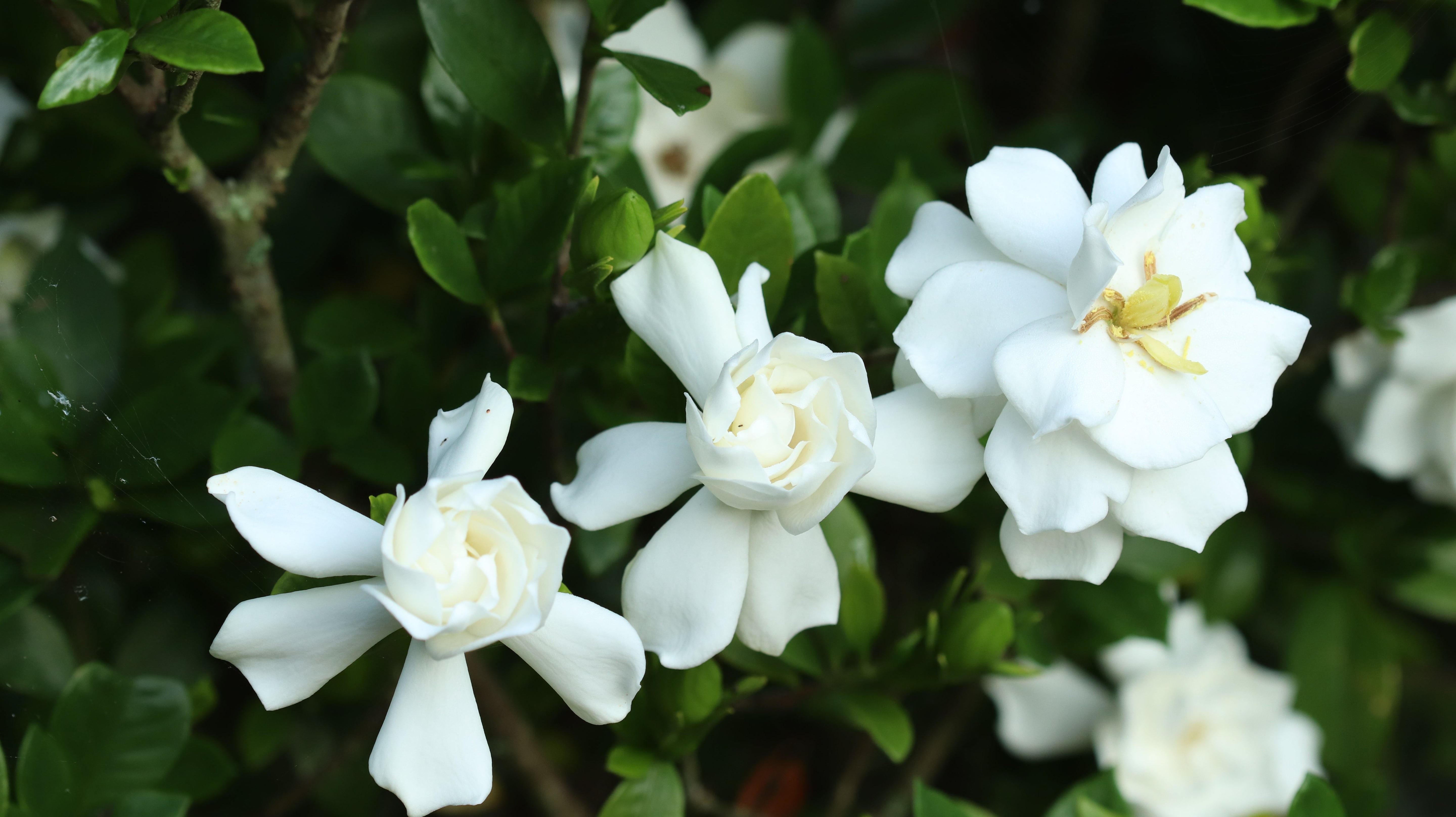 五感で感じるもの