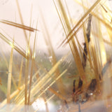 ルチルクォーツスフィア 47.2mm